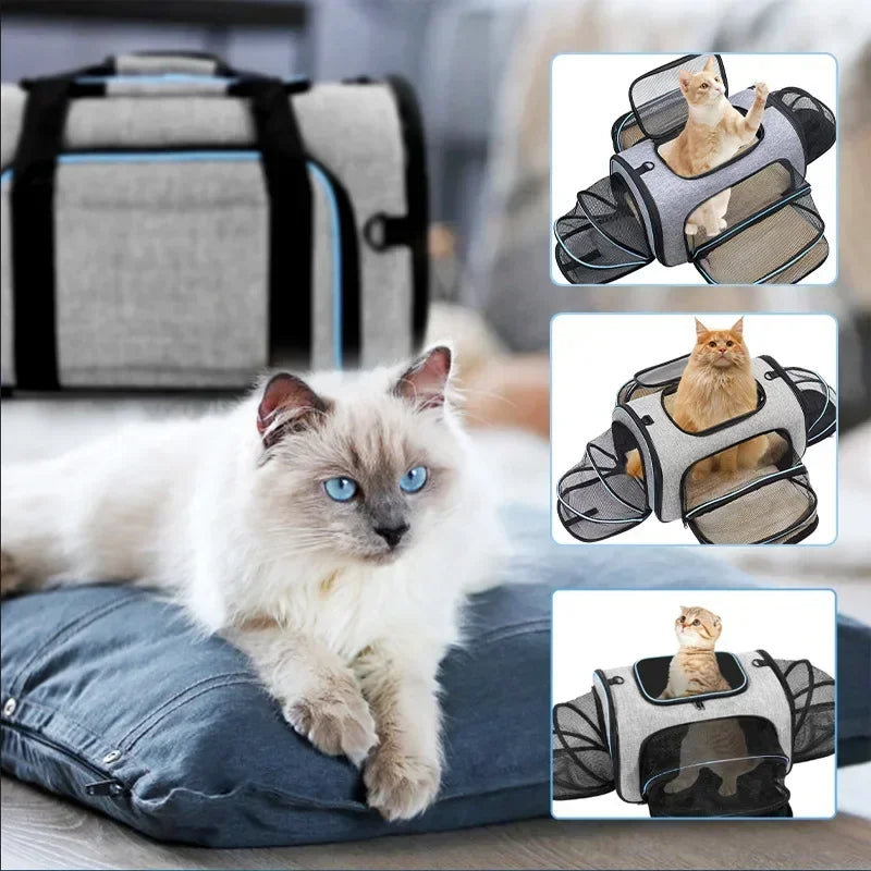 Breathable Travel Bag for Pets Backpack