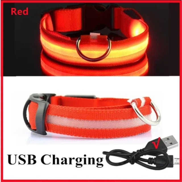 Anti-Lost LED Light Collar for Dogs