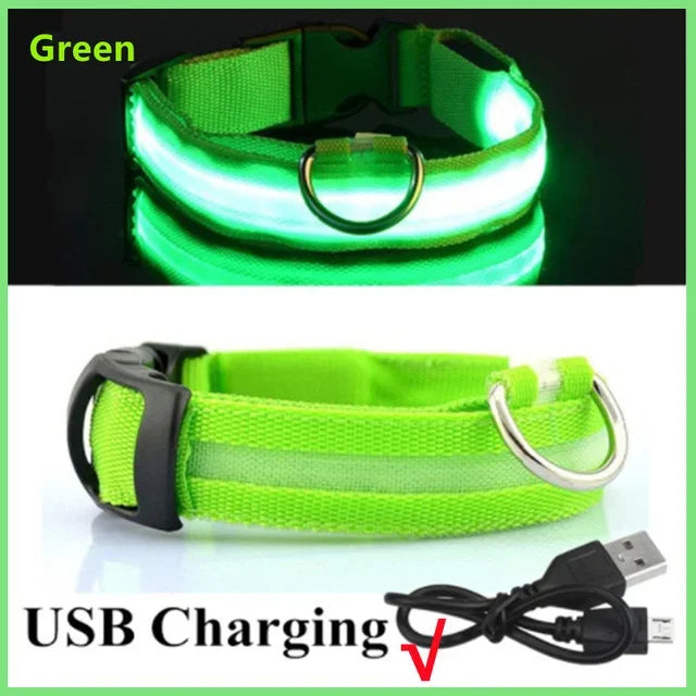 Anti-Lost LED Light Collar for Dogs