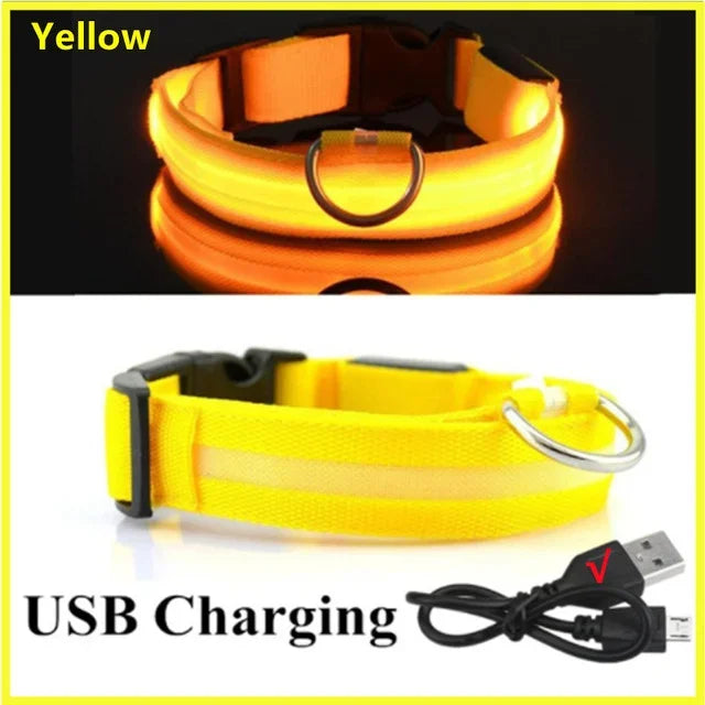 Anti-Lost LED Light Collar for Dogs