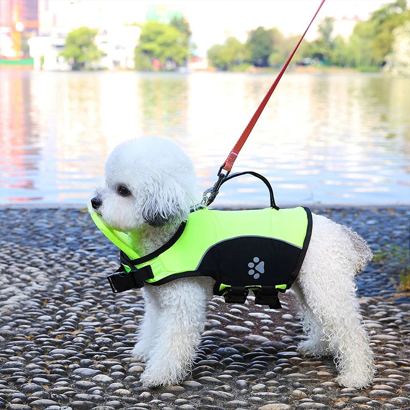 Small Dog Universal Swimsuit for Pets