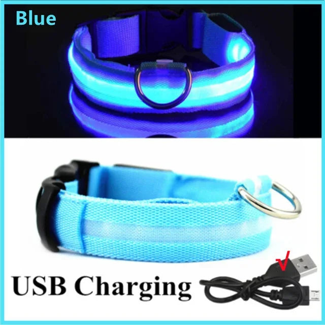 Anti-Lost LED Light Collar for Dogs