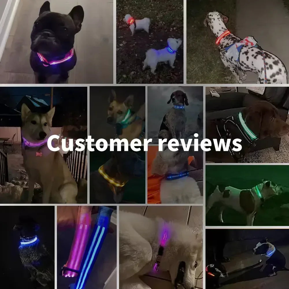 Anti-Lost LED Light Collar for Dogs