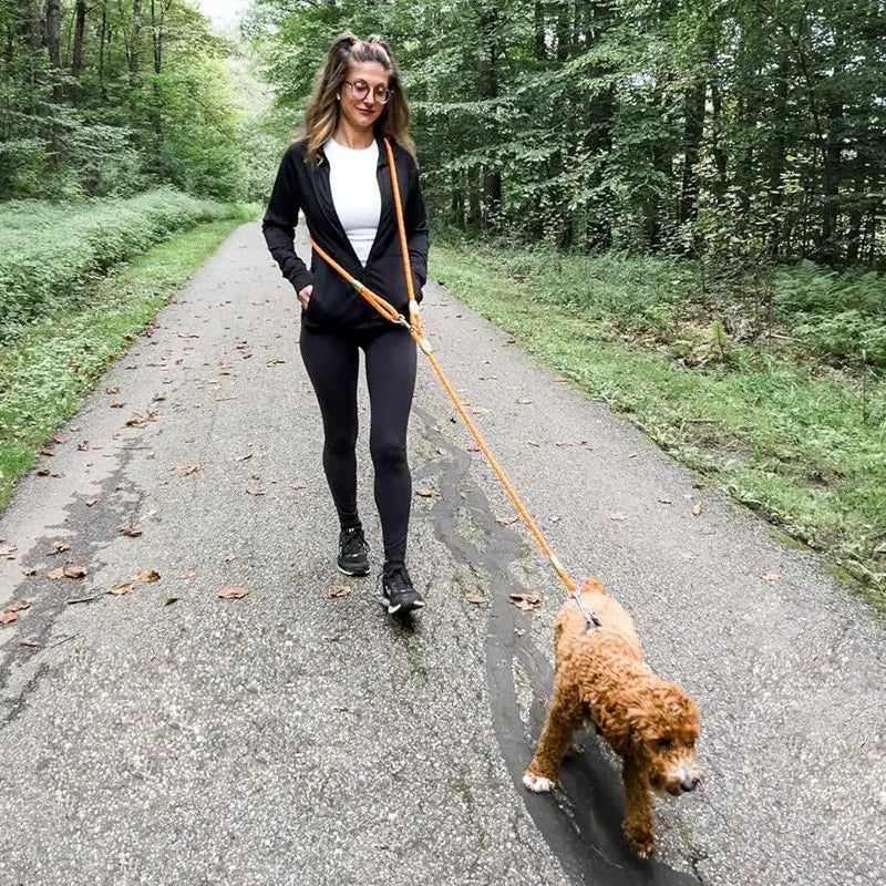 Elastic Durable Dog Leash for Hiking