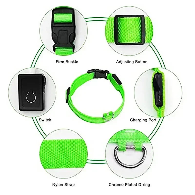 Anti-Lost LED Light Collar for Dogs