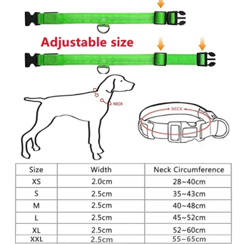 Anti-Lost LED Light Collar for Dogs
