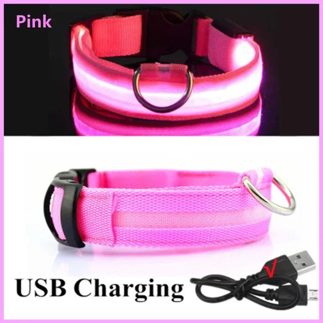 Anti-Lost LED Light Collar for Dogs
