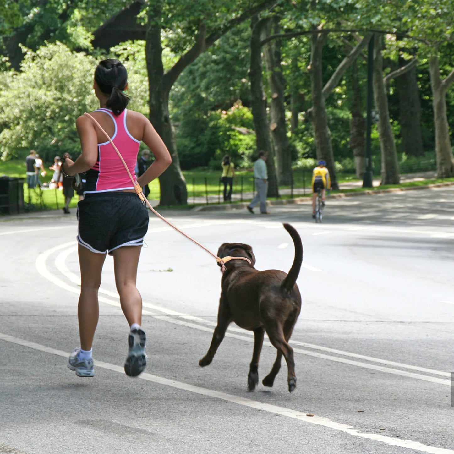 Hands-Free Adjustable Dog Leash for Running