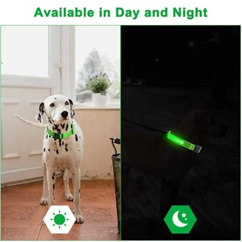 Anti-Lost LED Light Collar for Dogs