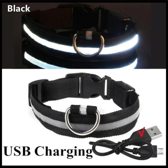 Anti-Lost LED Light Collar for Dogs