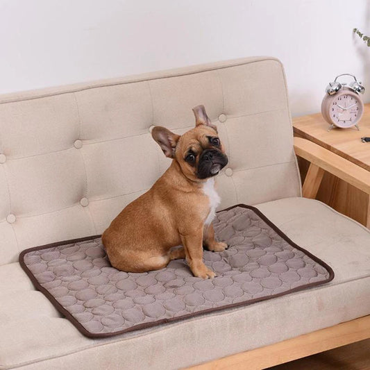 Cooling Bed for Dogs and Cats