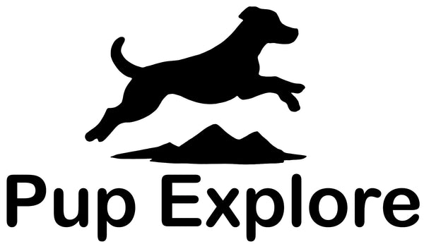 Pup Explore