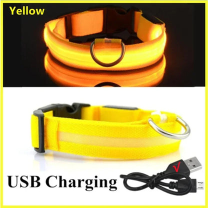 Anti-Lost LED Light Collar for Dogs