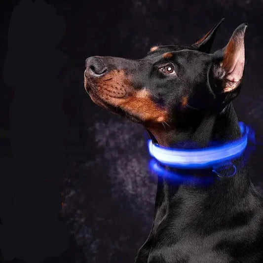 Anti-Lost LED Light Collar for Dogs