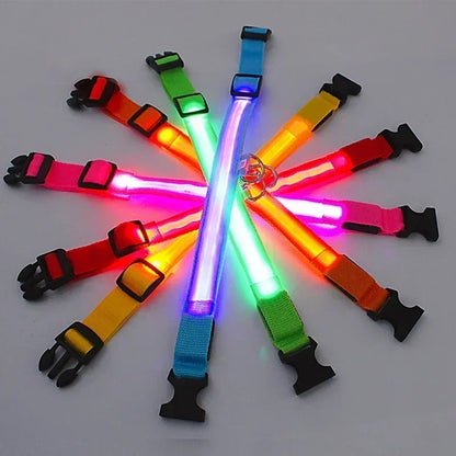 Anti-Lost LED Light Collar for Dogs