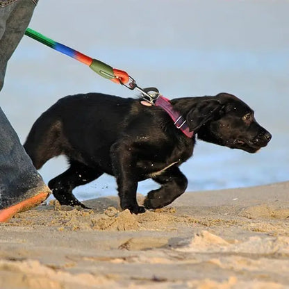 Elastic Durable Dog Leash for Hiking