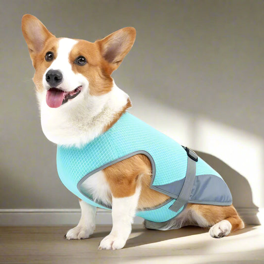 Breathable Cooling Vest for Dogs