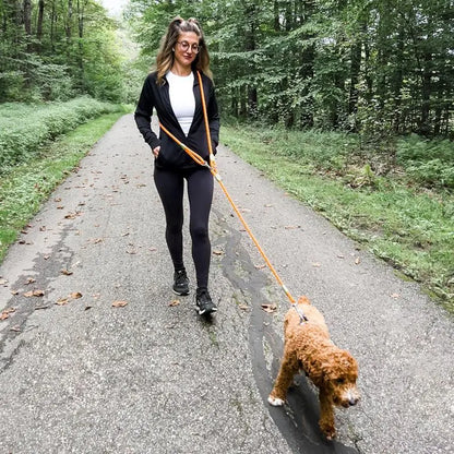Elastic Durable Dog Leash for Hiking