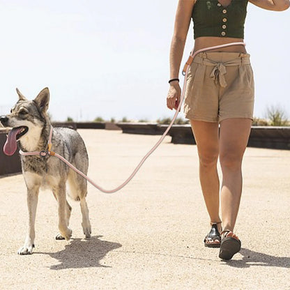 Hands-Free Adjustable Dog Leash for Running