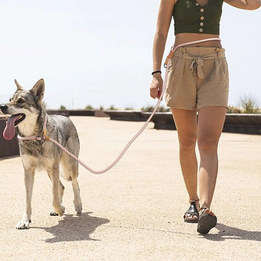 Hands-Free Adjustable Dog Leash for Running