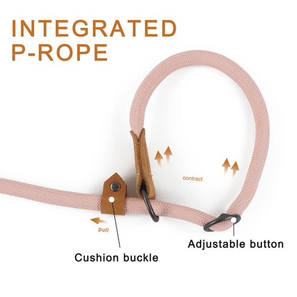Hands-Free Adjustable Dog Leash for Running