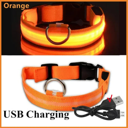 Anti-Lost LED Light Collar for Dogs