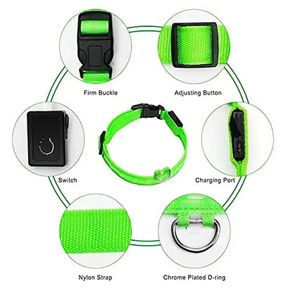 Anti-Lost LED Light Collar for Dogs