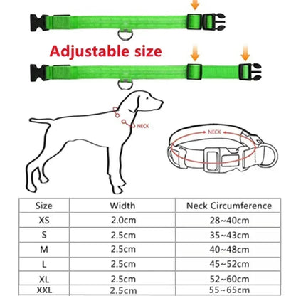 Anti-Lost LED Light Collar for Dogs