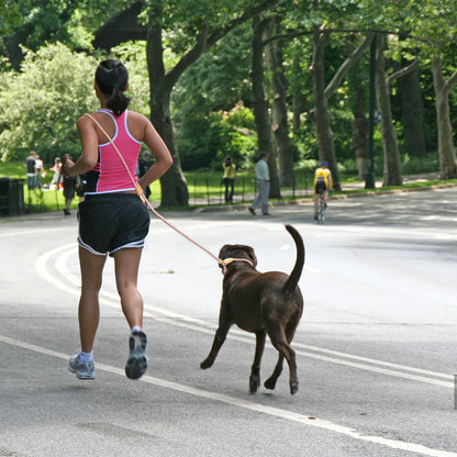Hands-Free Adjustable Dog Leash for Running